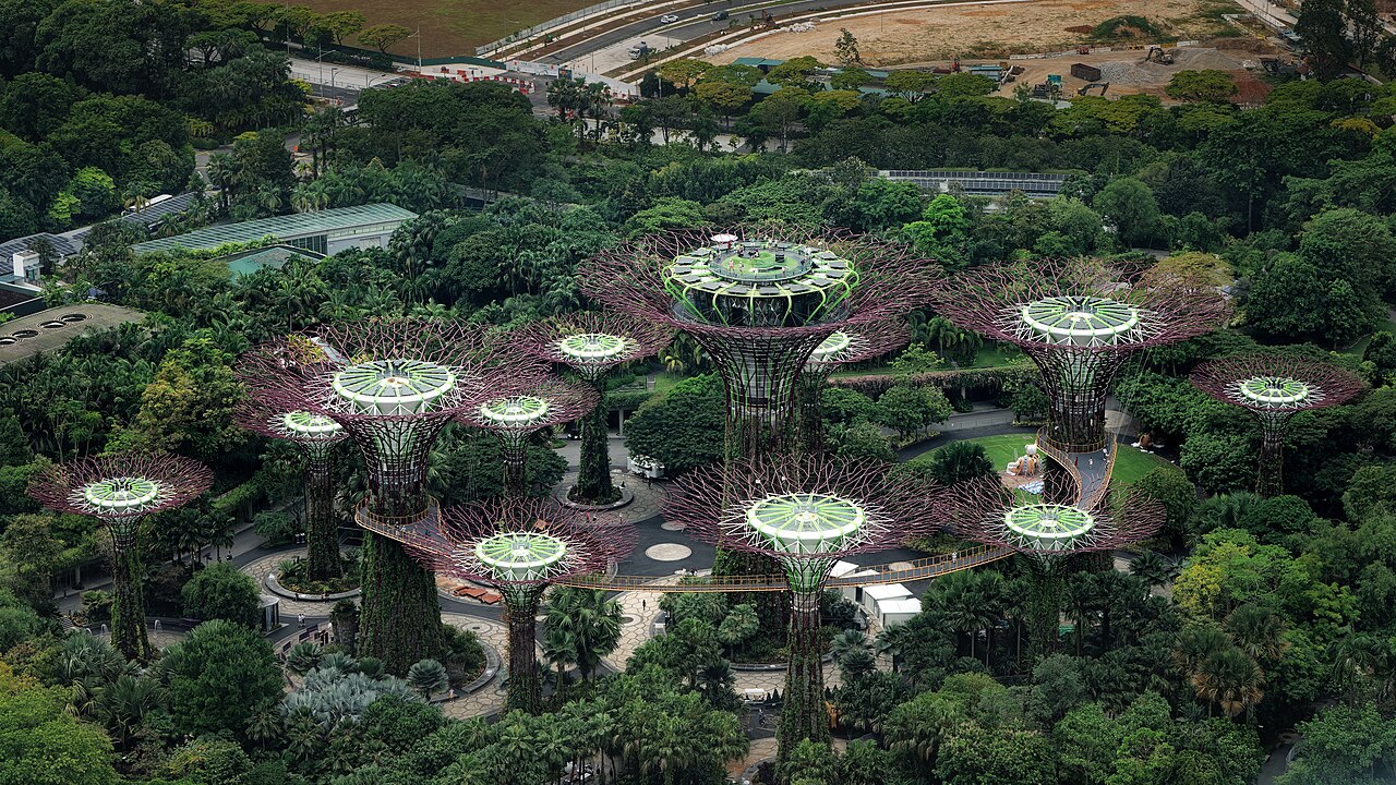 Гай супердерев у Gardens by the Bay, знятий із Marina Bay Sands, демонструє інноваційне вертикальне озеленення Сінгапуру.