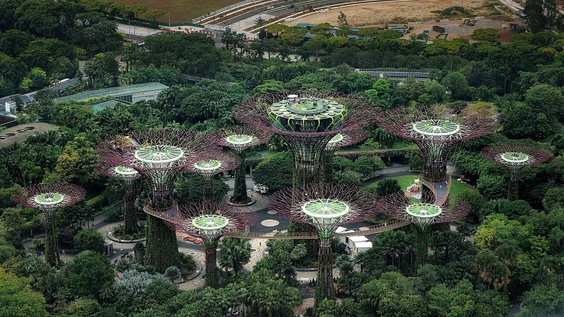 Supertree Grove at Gardens by the Bay, seen from Marina Bay Sands, showcases Singapore's innovative vertical greening.